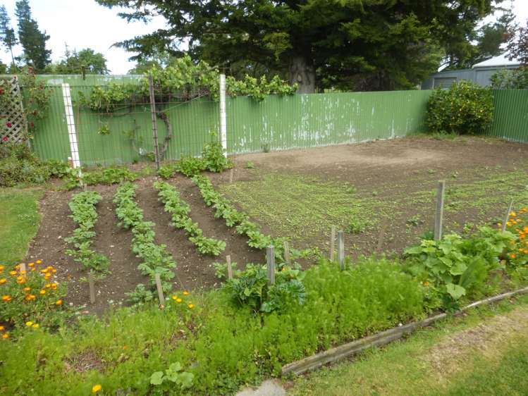 101 Maronan Road Tinwald_13