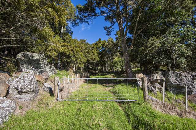 433 Crane Road Kauri_4