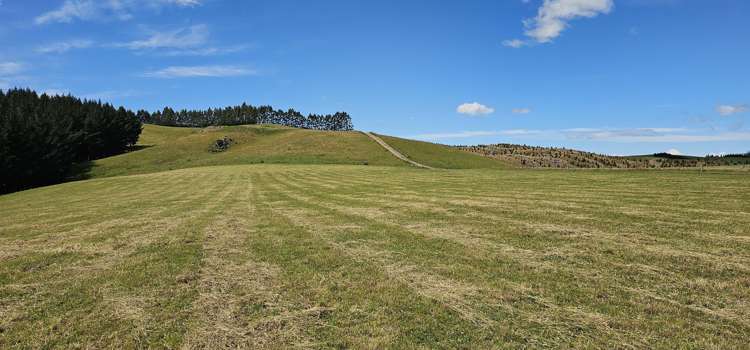 289 Otama Valley Road Otama_13