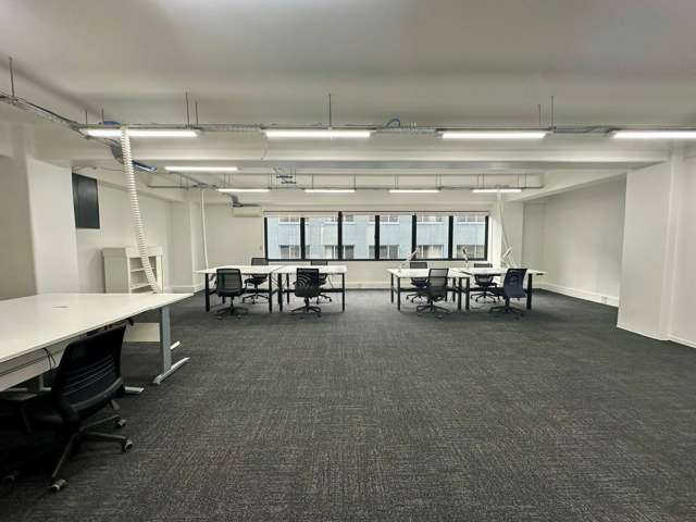 7 Windsor Street Parnell_4