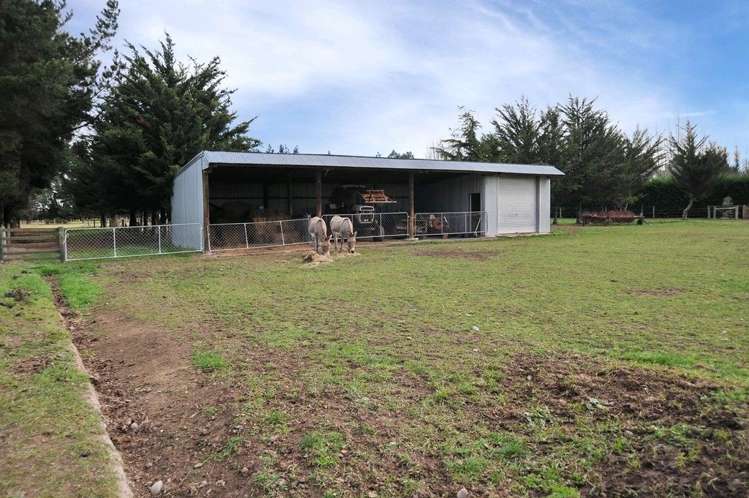 765 Main Drain Road Fernside_29