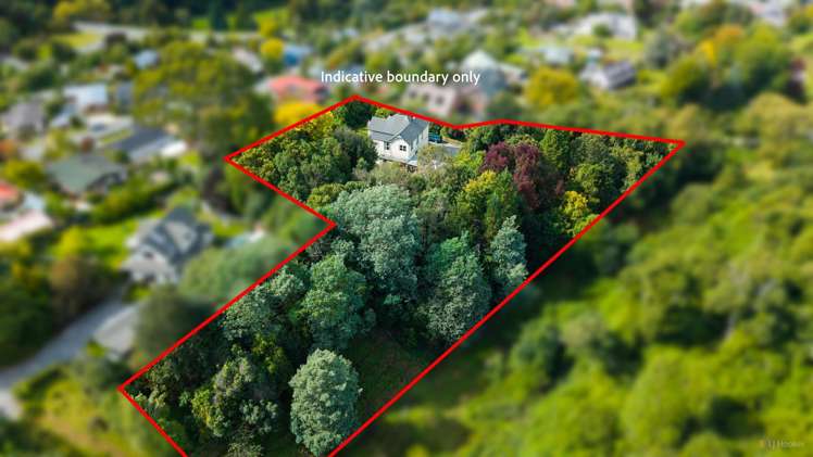 35 Forest Road Geraldine_24