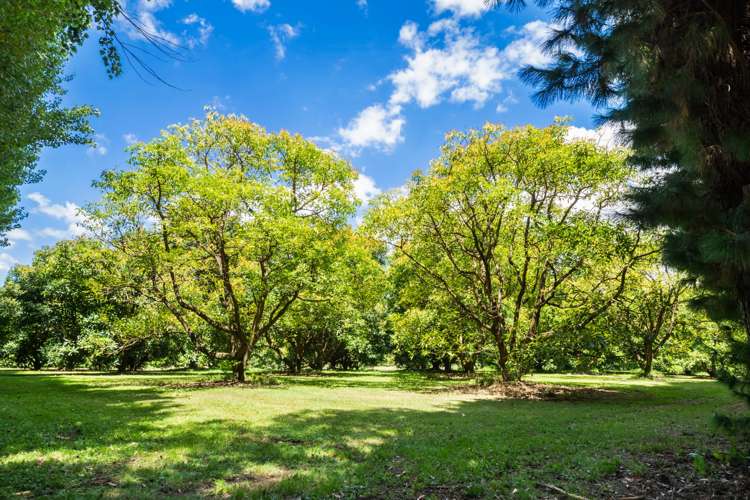 Matahui Road Aongatete_12