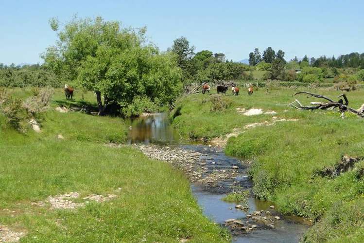 97 Gardner Valley Road Upper Moutere_17