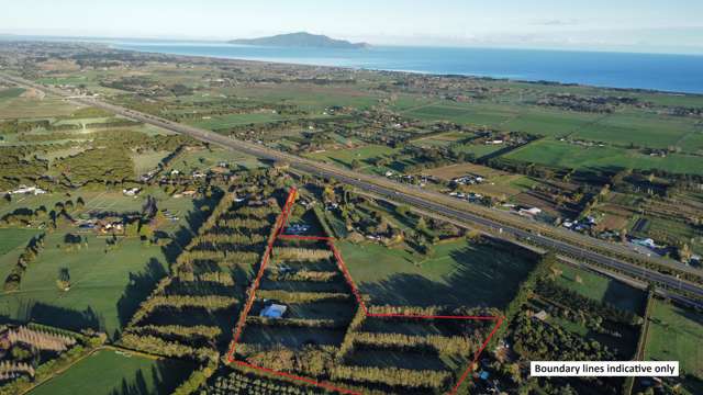 Prime Te Horo acreage with income