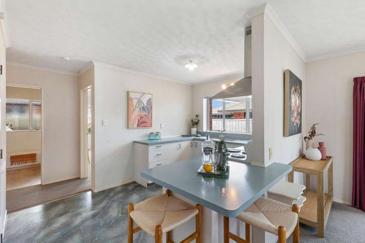 18 Manchester Street Levin_2