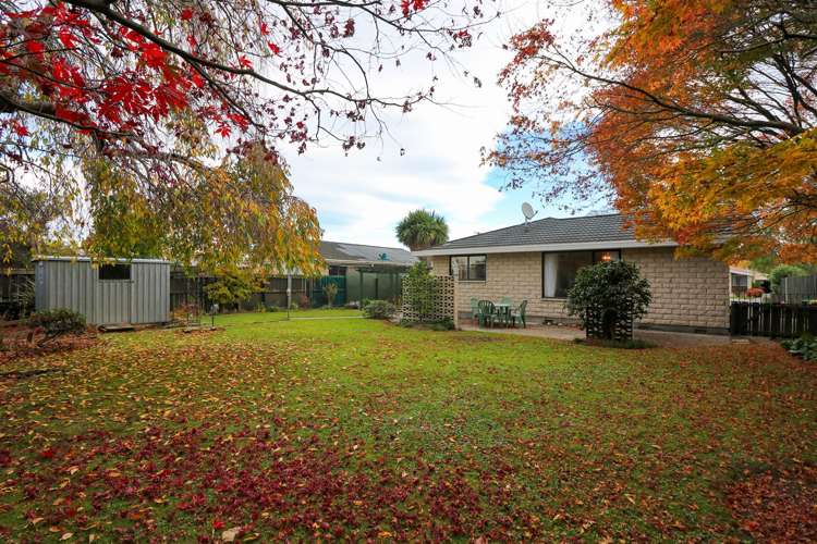 17 Flatman Crescent Geraldine_11