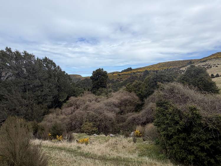 490 Long Bay Road Akaroa_29