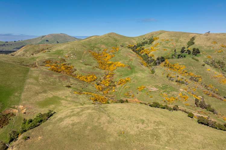 452 Harington Point Rd Lower Portobello_13