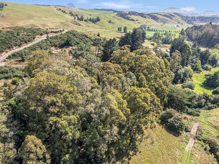 2705 Waikouaiti-Waitati Road Waikouaiti_7