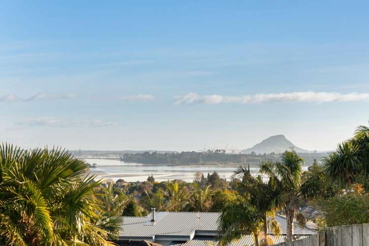 50 Waikite Road_1