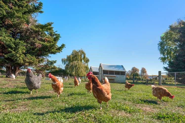 16 Bishell Lane Burleigh_18