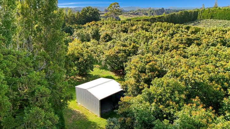 138 Te Puna Road Te Puna_17