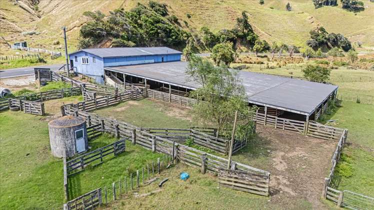 1295 Marokopa Road Marokopa_13