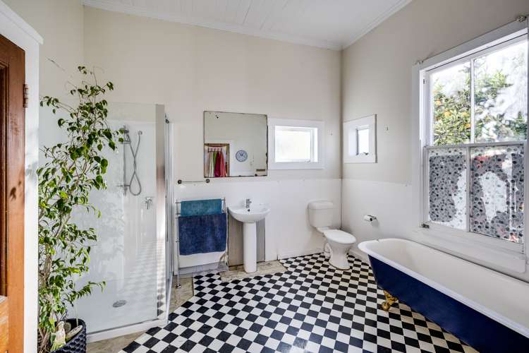 16 Owen Street Napier South_11