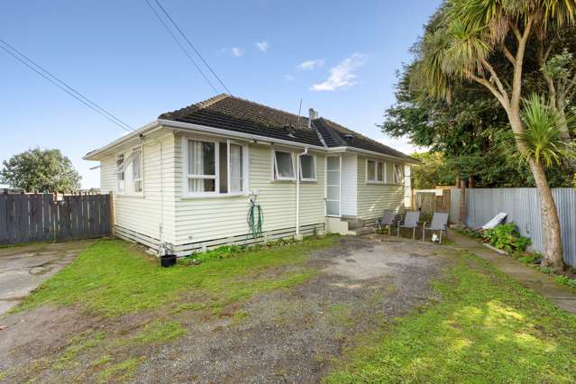 24 Mahoe Street Levin_2