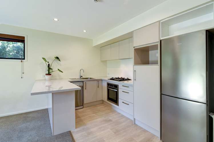 14/67 Andrews Road Queenstown_5