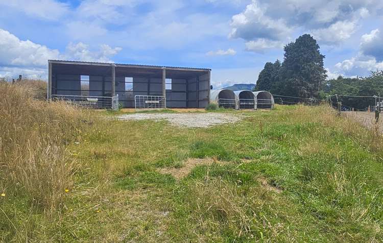 62 Ngamotu Road Rerewhakaaitu_23