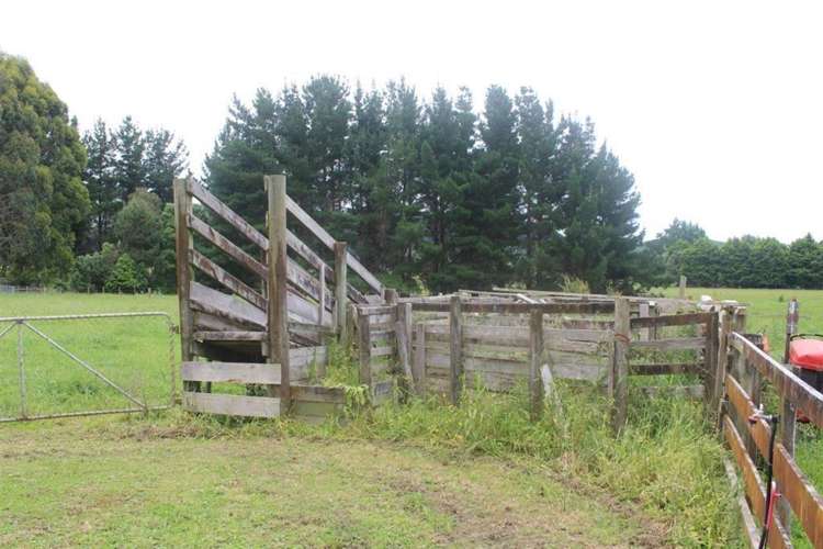 272 Potts Road Koputaroa_23