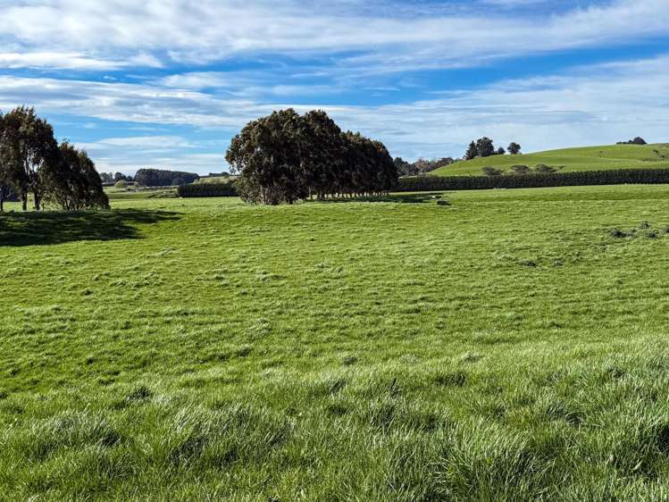 141 Mataura Island Titiroa Road Mataura Island_10