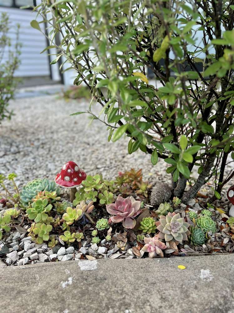 59d Redwood Drive Massey_6