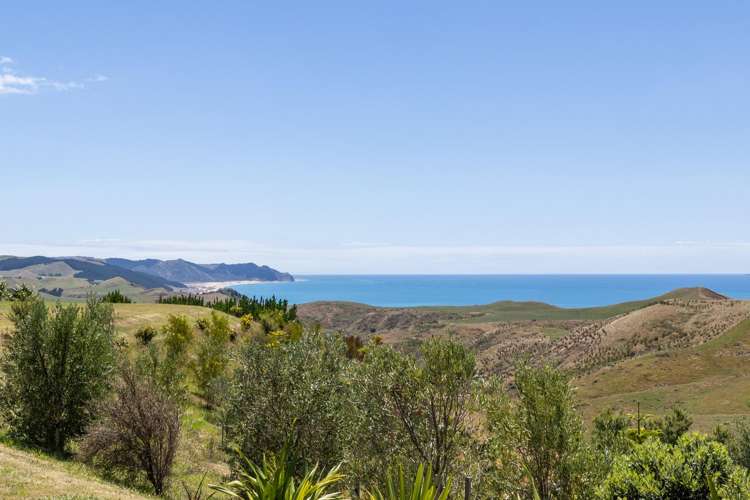 63 Waipuka Road Havelock North_25