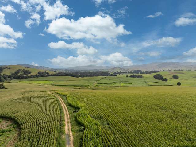 1179 Tahuna Road Ohinewai_2