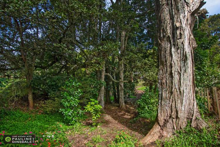 151 Dip Road Kamo_25