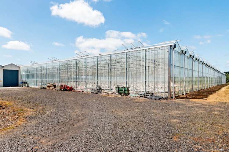 377 Mercer Ferry Road Mercer_6