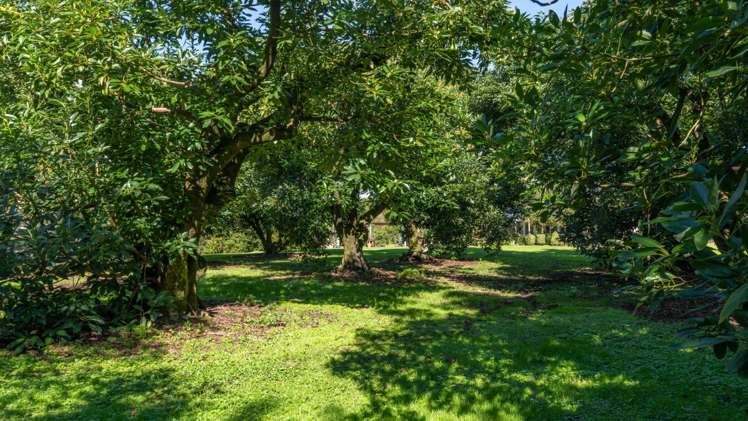 451 Belk Road Kaimai_19