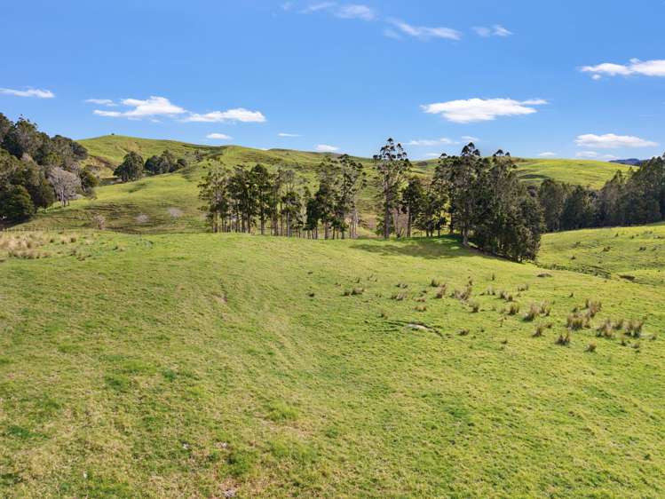 / Lot 12 Gorge Road_3