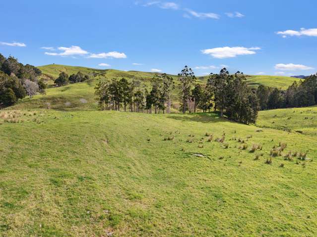 / Lot 12 Gorge Road Maungaturoto_3