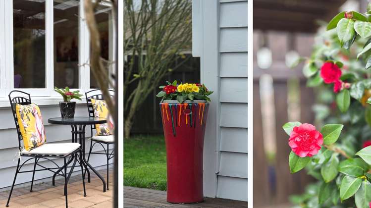 208 Maeroa Road Maeroa_4