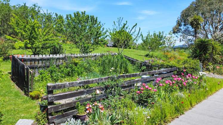 131B Hogg Road Rotoma_32