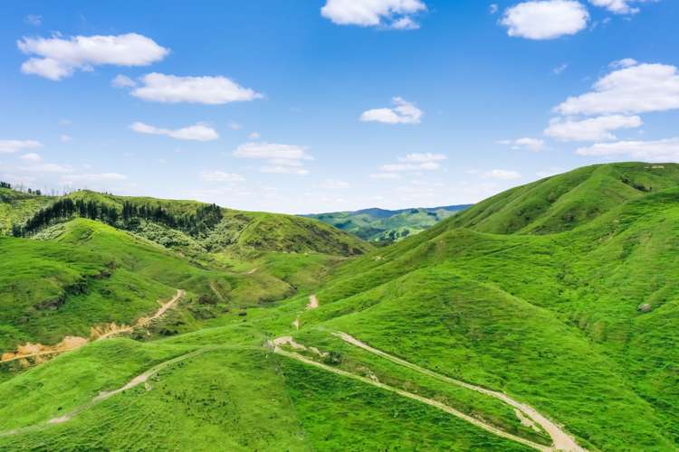 Thompsons Road Pahiatua_14