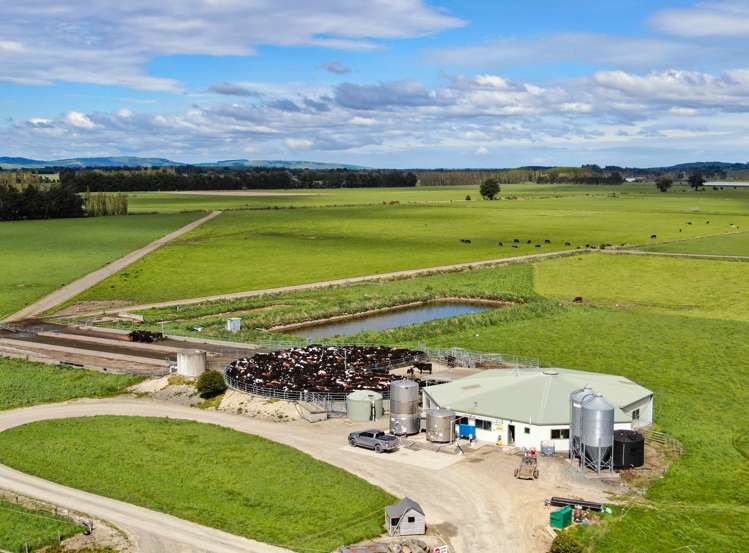 222 Boggyburn Road Winton Surrounds_4