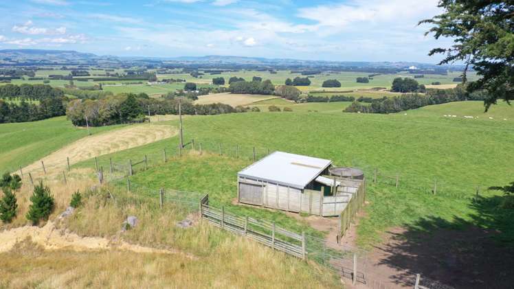 286 Brydone Glencoe Road Gore Surrounds_16