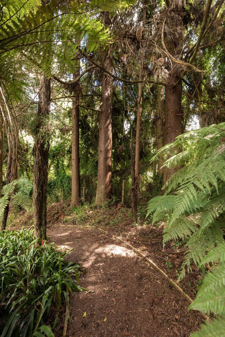 60 Victoria Street Waikino_42