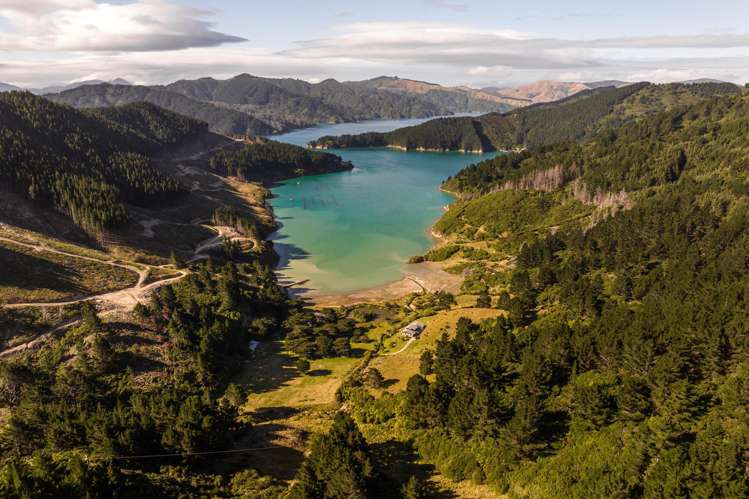 528 Oyster Bay Marlborough Sounds_37