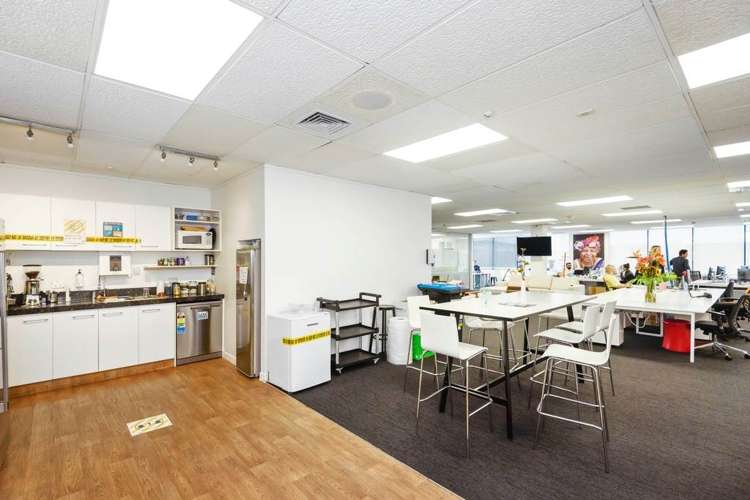 33 College Hill Freemans Bay_5