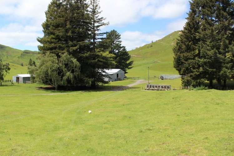 378 Ridgemount Road Tutira_15