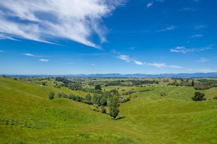 600 Neudorf Road Upper Moutere_38