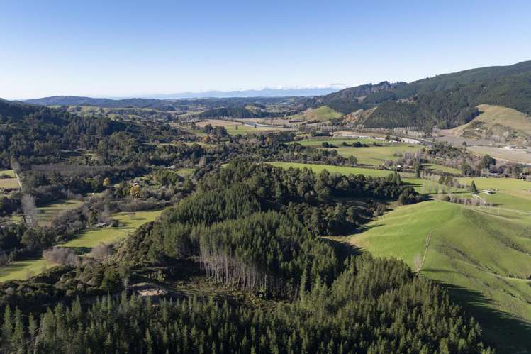 Graham Valley Road Motueka Valley_6