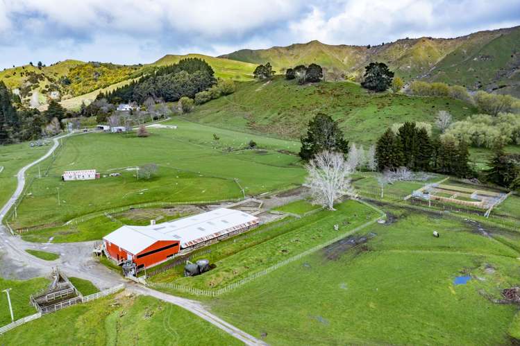783 Glenroy Road Whangara_2