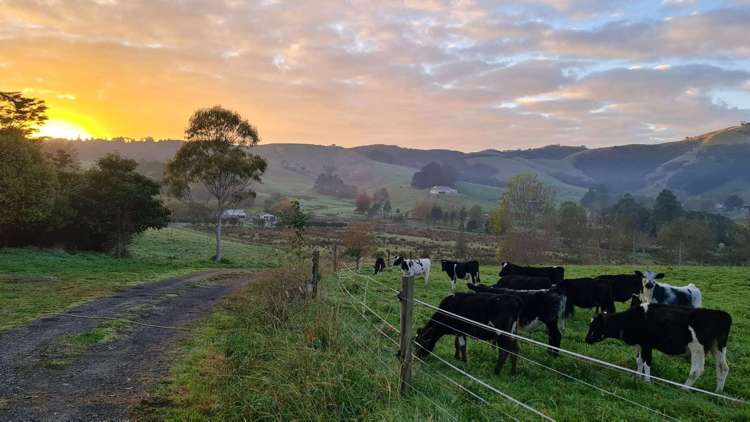 915 Waikare Road Waerenga_33