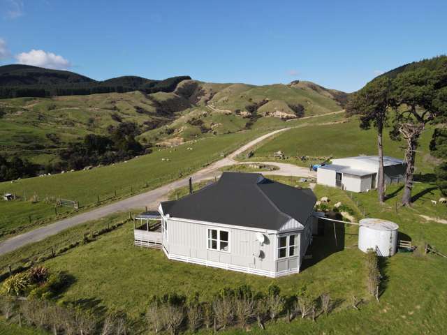 330 Speedy Road Dannevirke_3