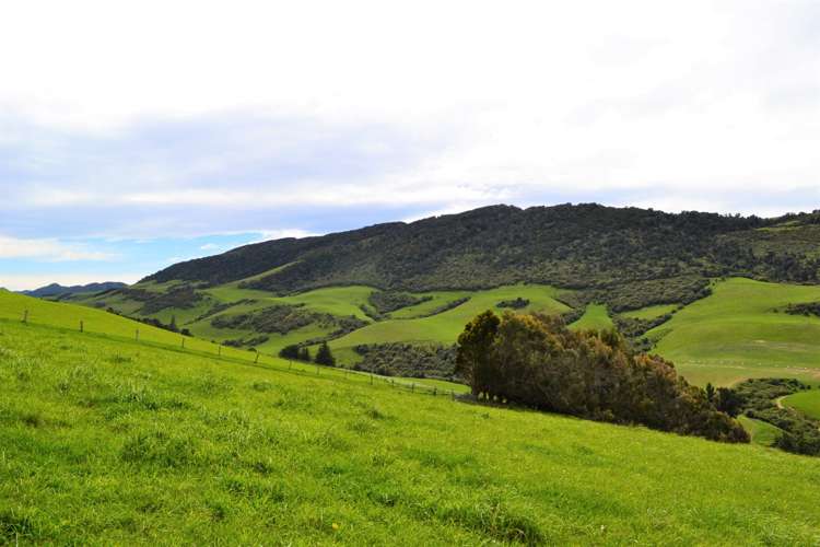 771 Hunt Road Catlins Surrounds_14