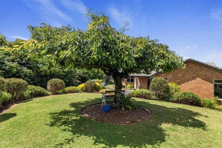 244 Lindemann Road Tahawai_30