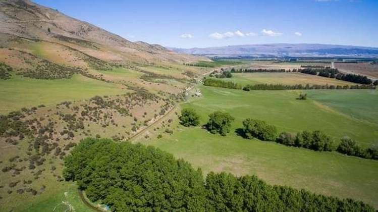 981 Luggate-Tarras Road Westland Surrounds_2