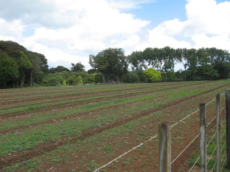 11 Hill Road Waiuku_4